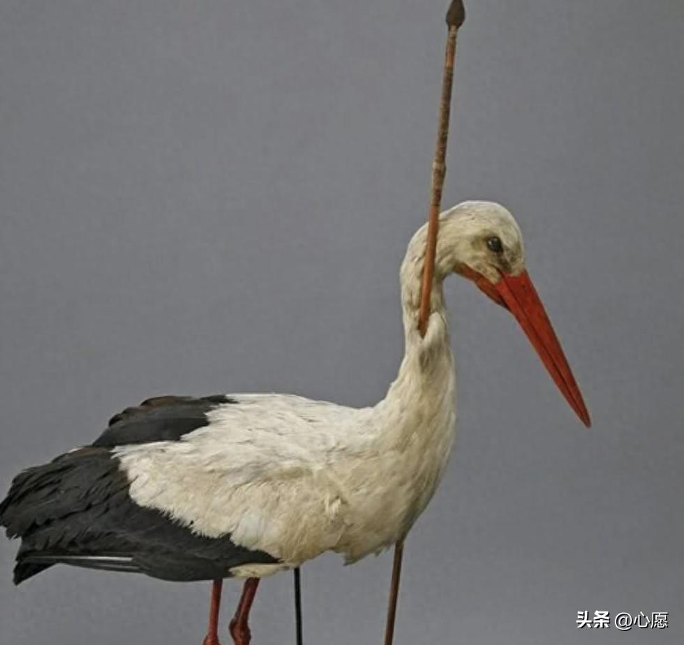 【晚清*楼青**秘影】*楼青**女丰乳肥臀，媚态撩人，风情尽显！