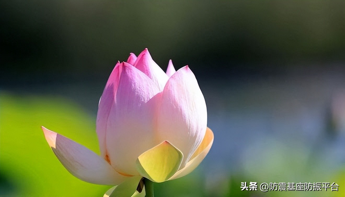 不求全满图片,不求全不求满