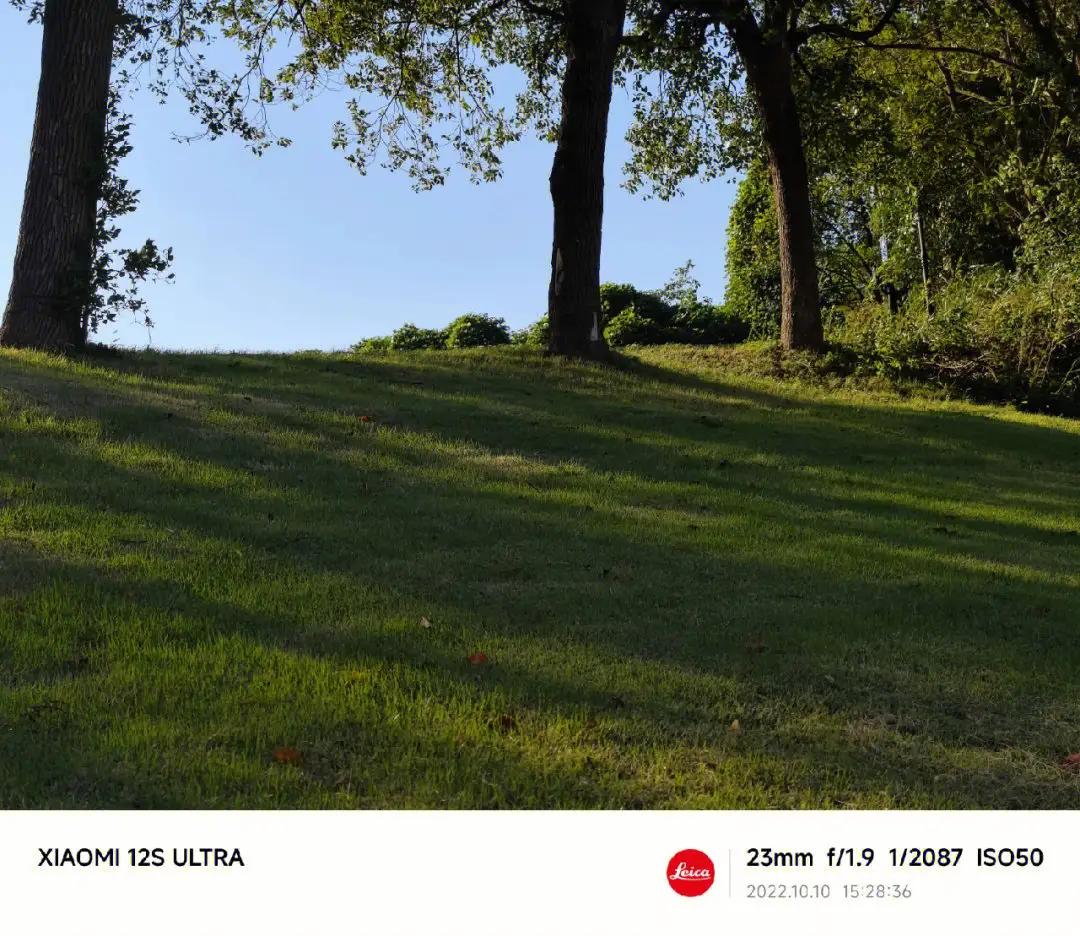 小米徕卡经典拍照实际效果,徕卡相机和小米徕卡