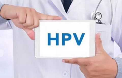 hpv感染与宫颈癌研究进展,感染hpv一定会出现湿疣吗