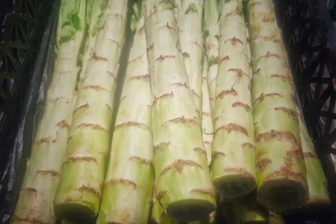 夏天多吃这种蔬菜经济实惠又健康,夏季养生多吃十种时令蔬菜