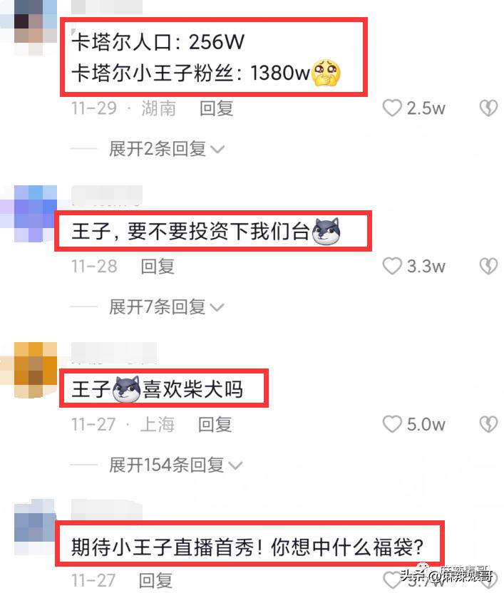 金晨模仿卡塔尔小王子晒照,金晨模仿卡塔尔王子被起诉了吗