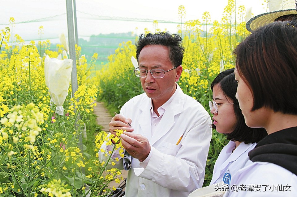 农学硕士就业待遇,农业经济管理专业就业前景