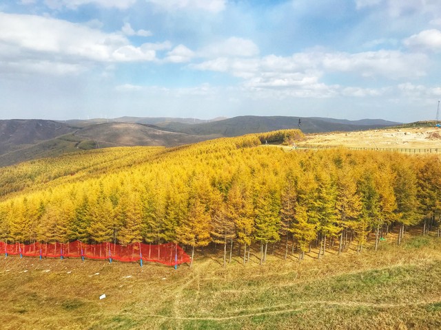 崇礼万龙滑雪场的介绍,崇礼万龙滑雪场