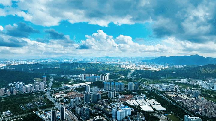 央视对农民富起来的评价,央视关注乡村