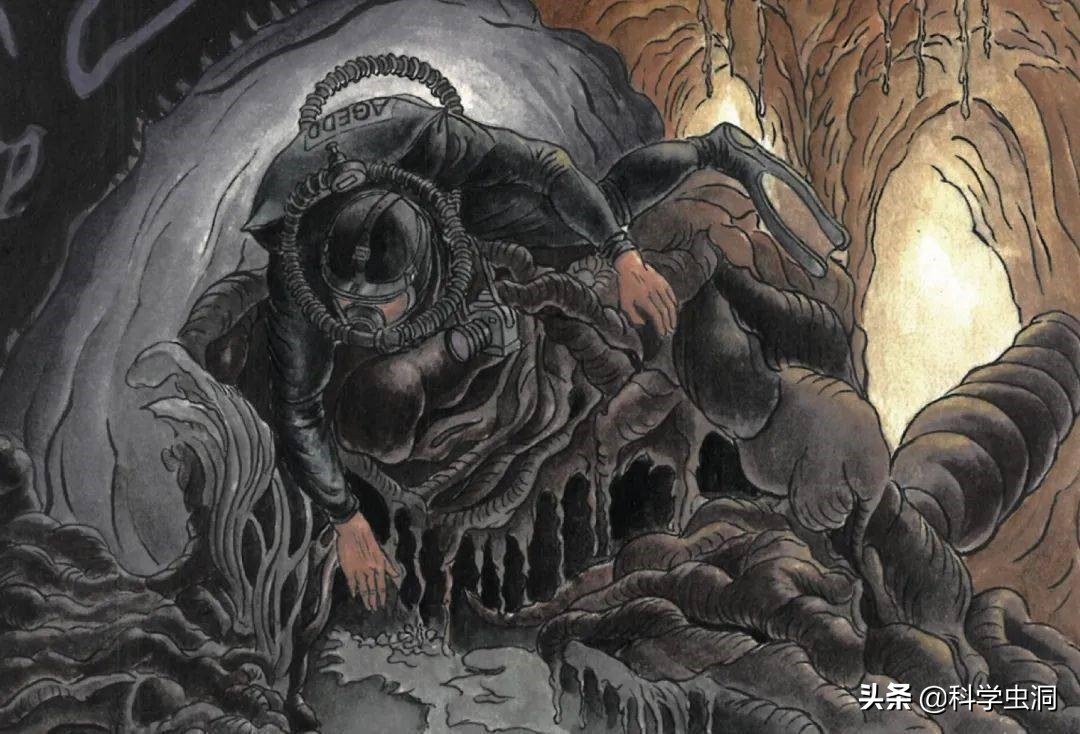 如果人在鲸鱼的肚子里该如何逃生,鲸鱼腹中逃生