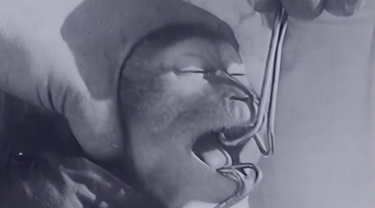 人类动物能混血吗,人类真的能杂交吗