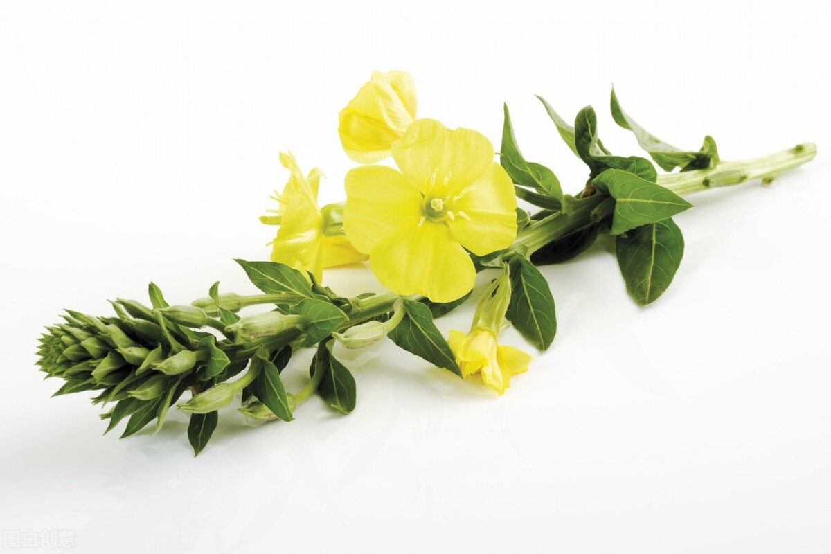 生殖健康护肤品,生殖系统健康行业产品