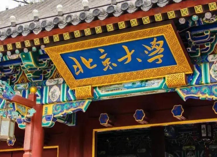 北大博士许晨阳,北大天才教授许晨阳