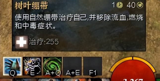 激战2元素使选什么种族,激战2哪个种族好看