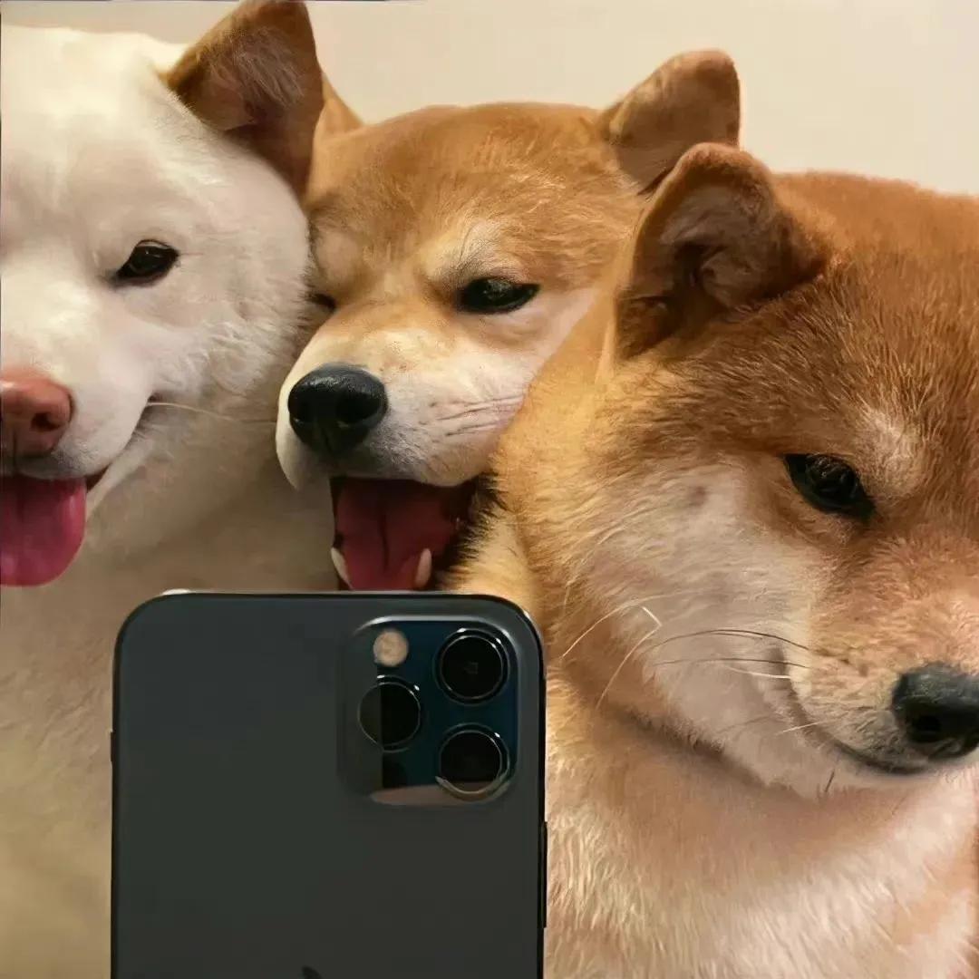 干净大方的背景图,绝美背景图干净