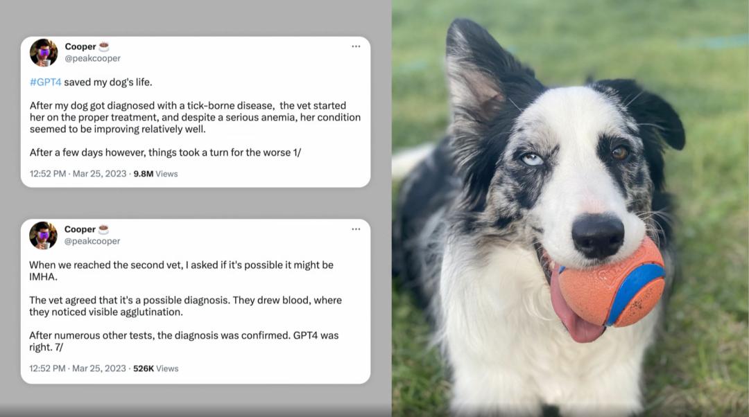 关于chatgpt的ted演讲,ted开挂的套路