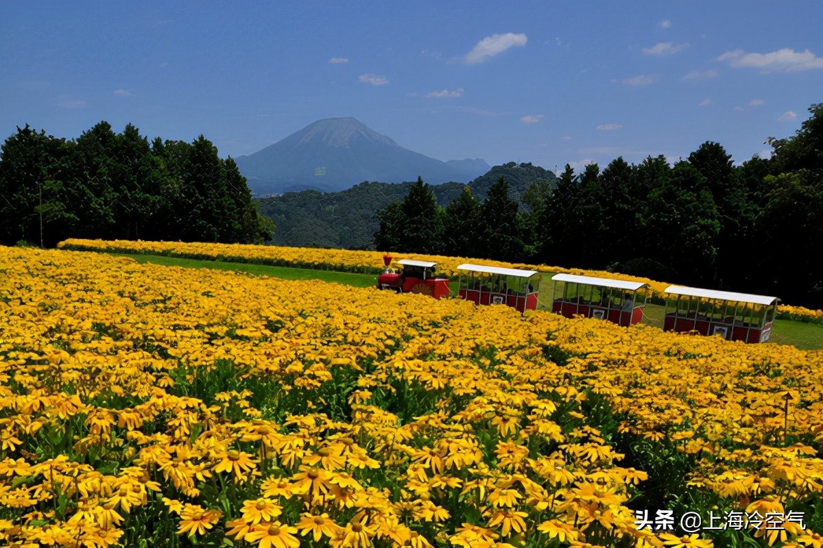 日本山阴地区旅游攻略,日本山阴旅行