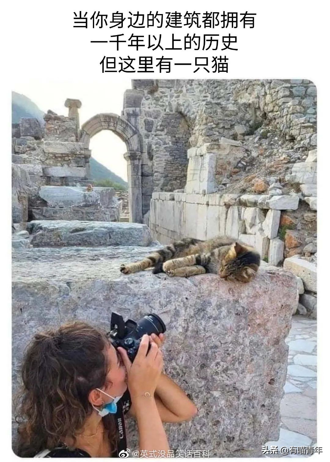 全世界唯一一只世界上最大的猫,世界上最小的体型最大的猫