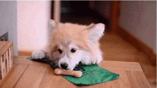 盘点6种不可思议的“异食癖”,盘点十种奇怪的异食癖