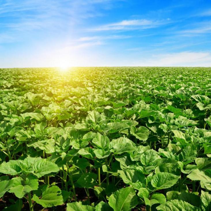 管它几度，保持冷酷