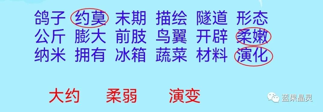四下语文:第2单元课本内容(复习+练习)