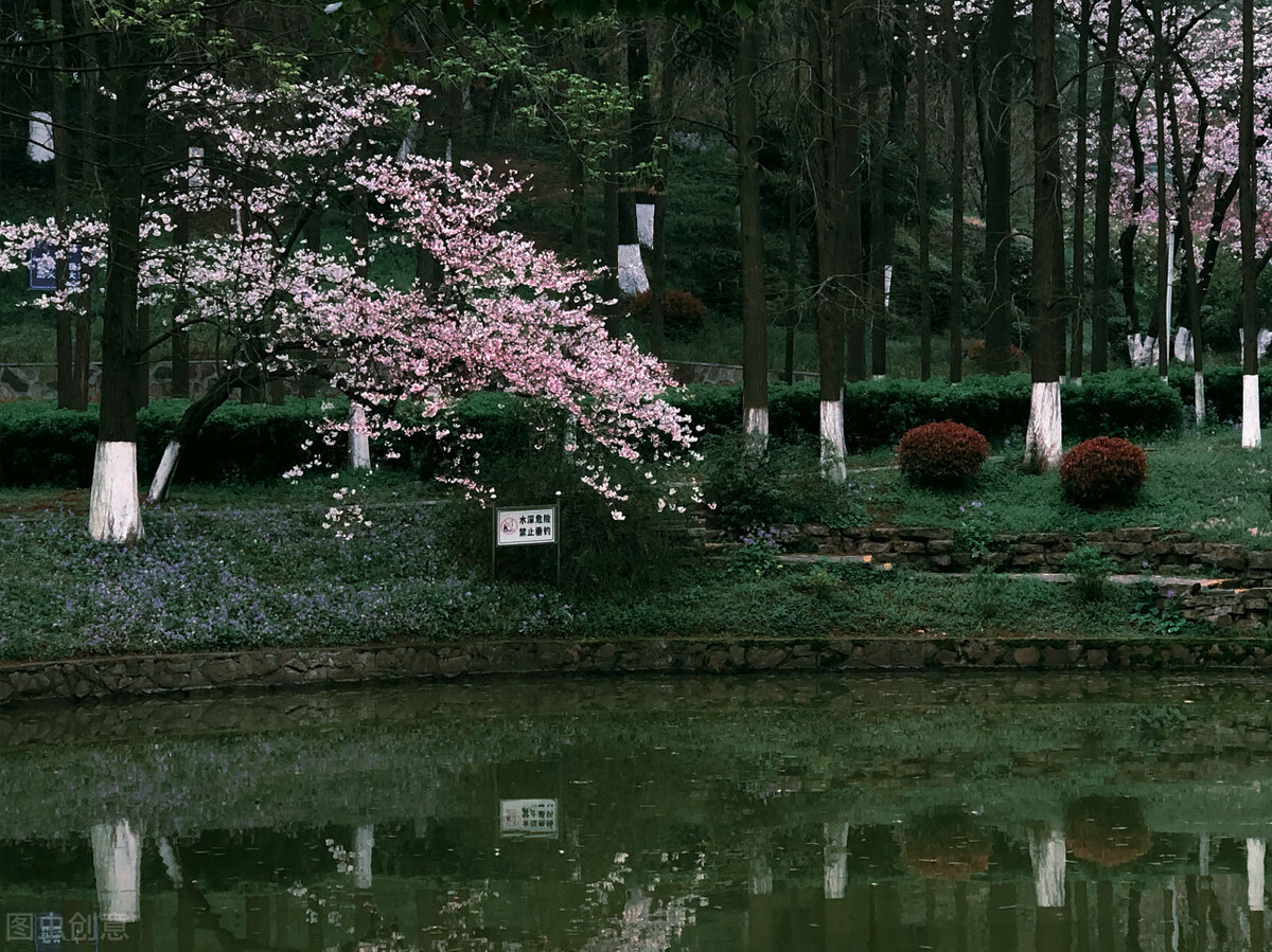 南京宝藏旅游打卡地,南京一日游宝藏街区