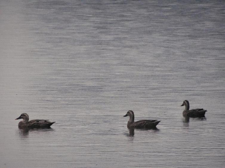 西安到湖南自驾游景点推荐,西安到蜀南竹海自驾游沿途景点