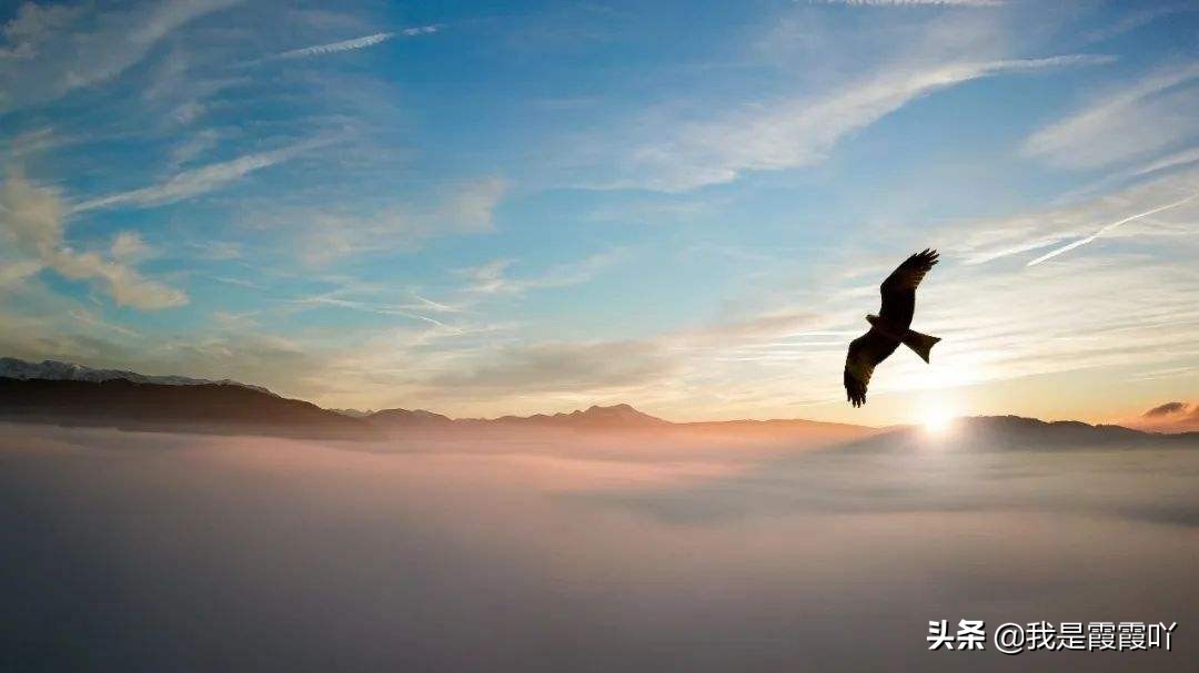 成功的意思及含义,成功的三大含义