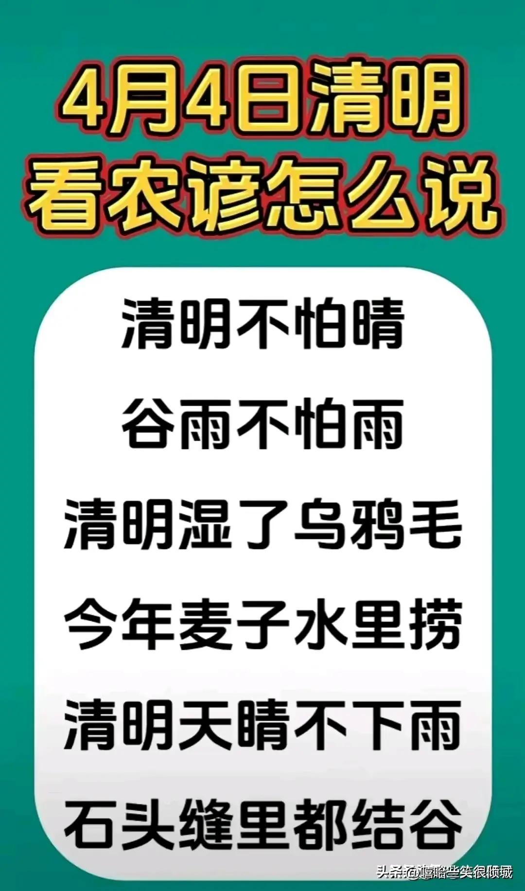 终于有人把“转基因玉米”整理好了，不知道的收藏看看
