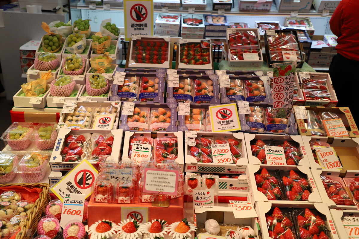 带100万人民币去日本生活,100人民币在日本购物