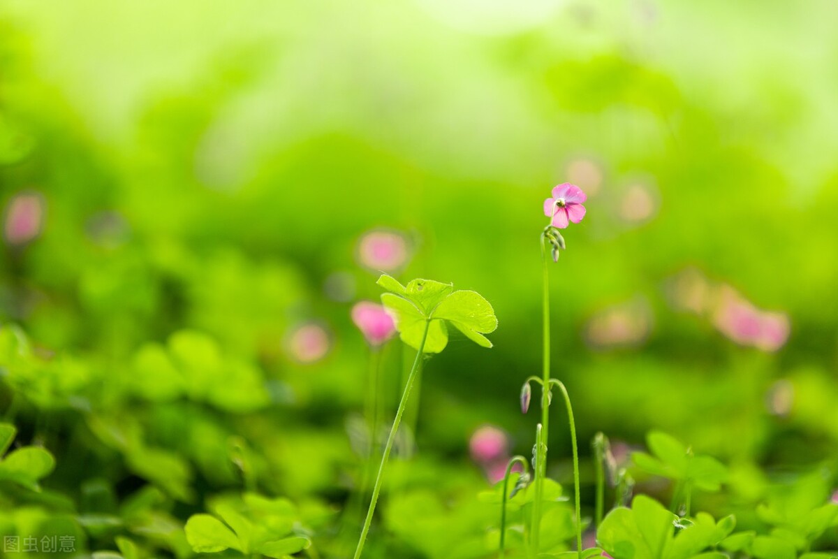 退休后没有朋友就幸福了,退休后没有一个朋友