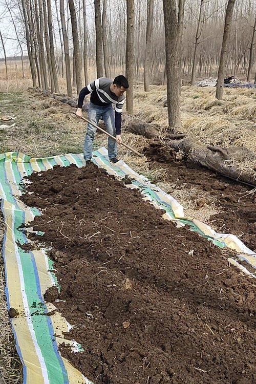 禽畜粪便环保处理,畜禽粪便处理循环利用利弊