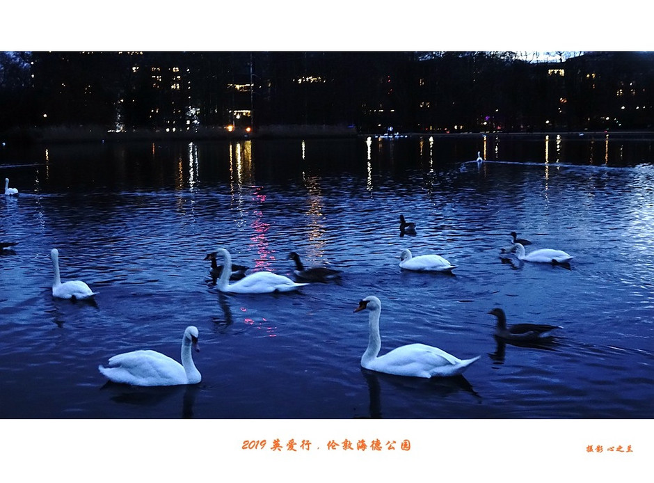 伦敦海德公园英国最大的皇家公园,浮光掠影免费阅读全文