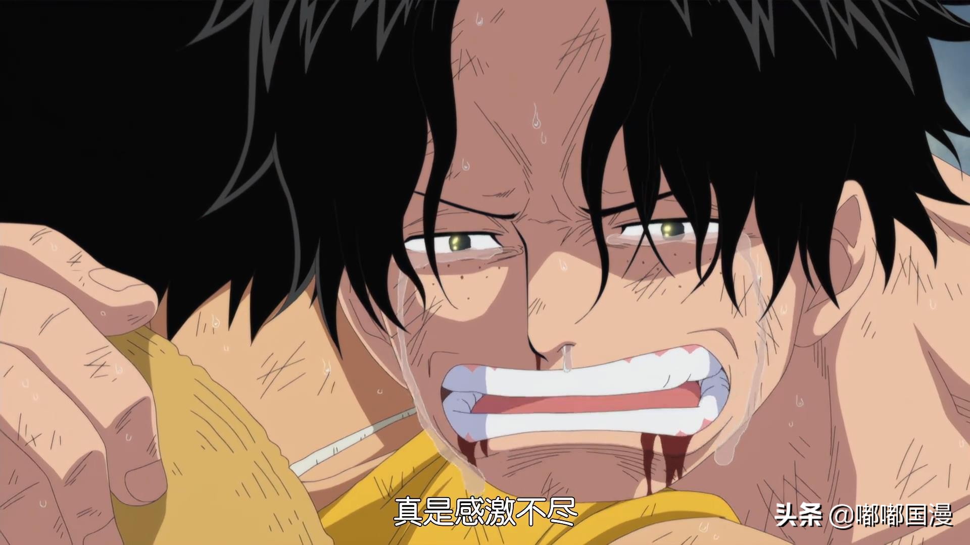 浜轰汉璁ㄥ帉鐗规潈浜轰汉娓存湜鎷ユ湁鐗规潈,浜轰汉璁ㄥ帉鍔ㄧ墿