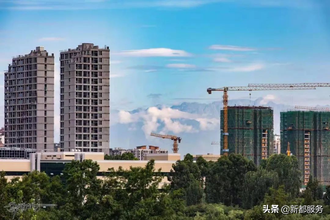 新都是靠什么产业发达的,新都做什么好