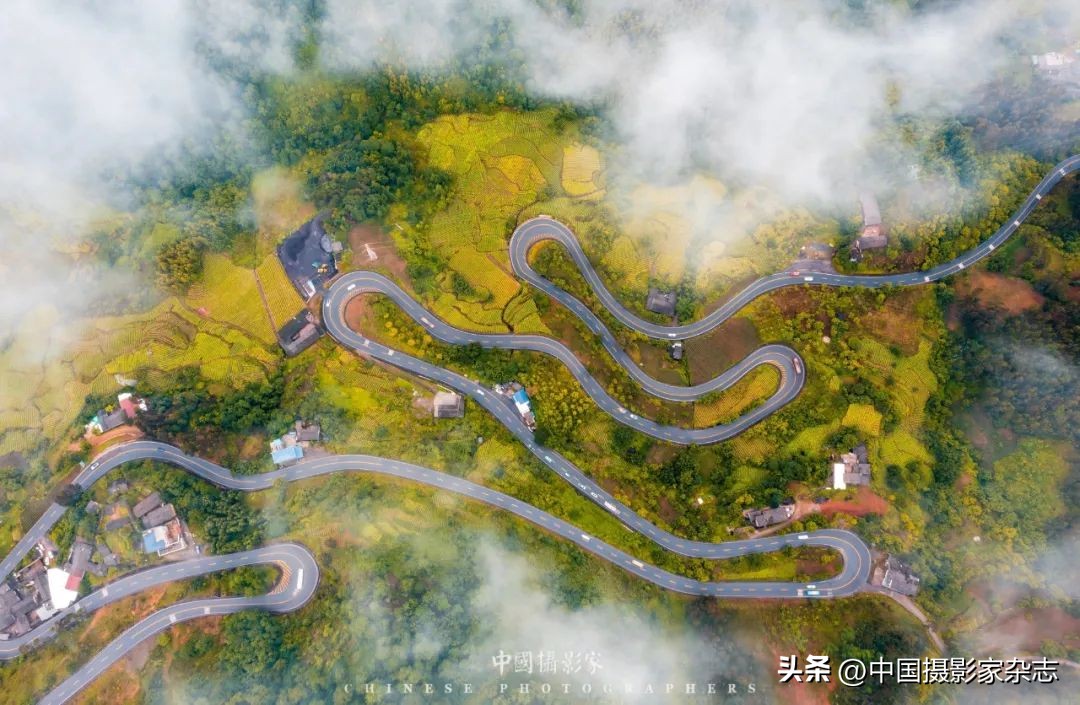 新时代新风尚摄影作品,新时代新风尚书画展