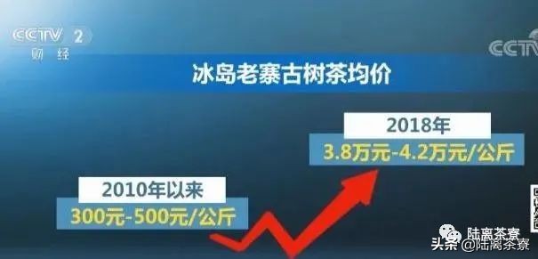 普洱古树茶是不是树龄越大越好喝,古树茶树龄越大芽头越小