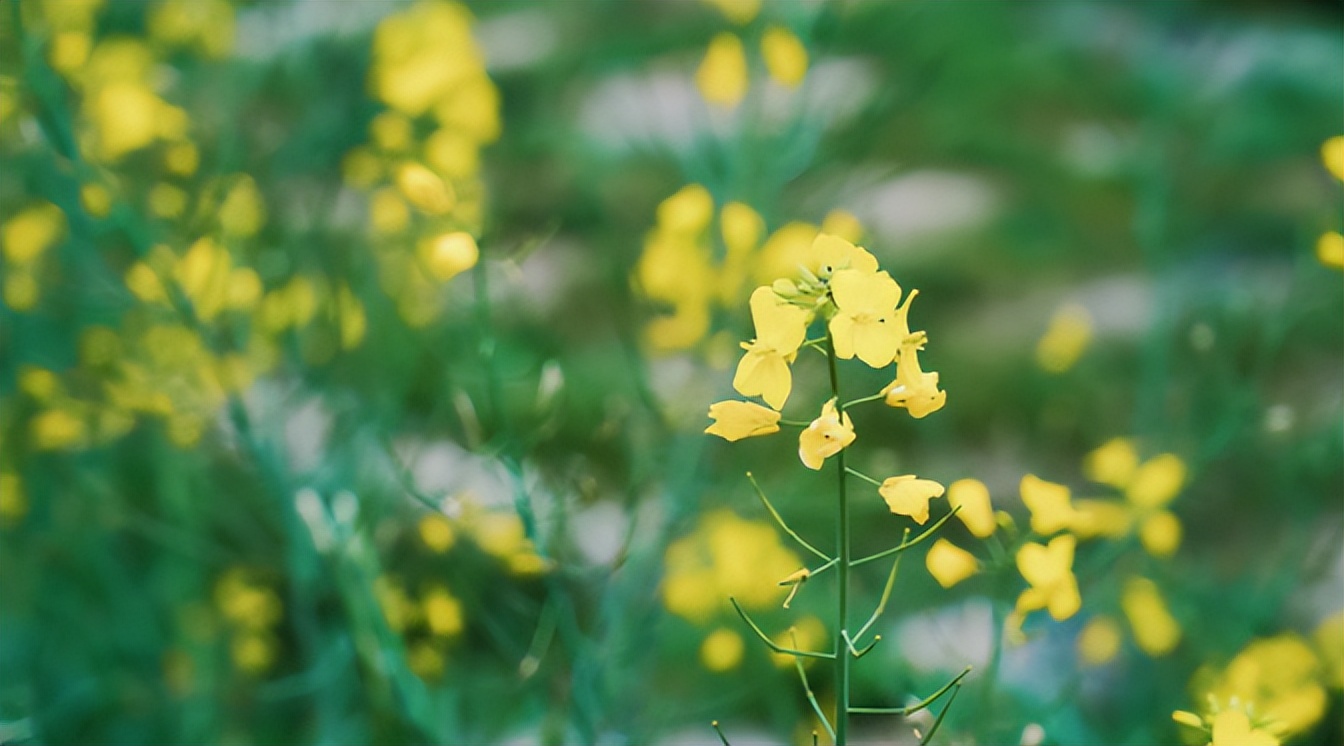 事关白事！绍兴一城区内禁止