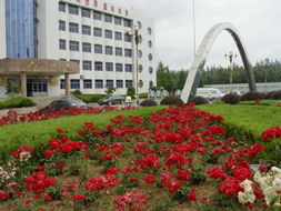 合肥市十大高中排行榜,合肥市十大高中排名