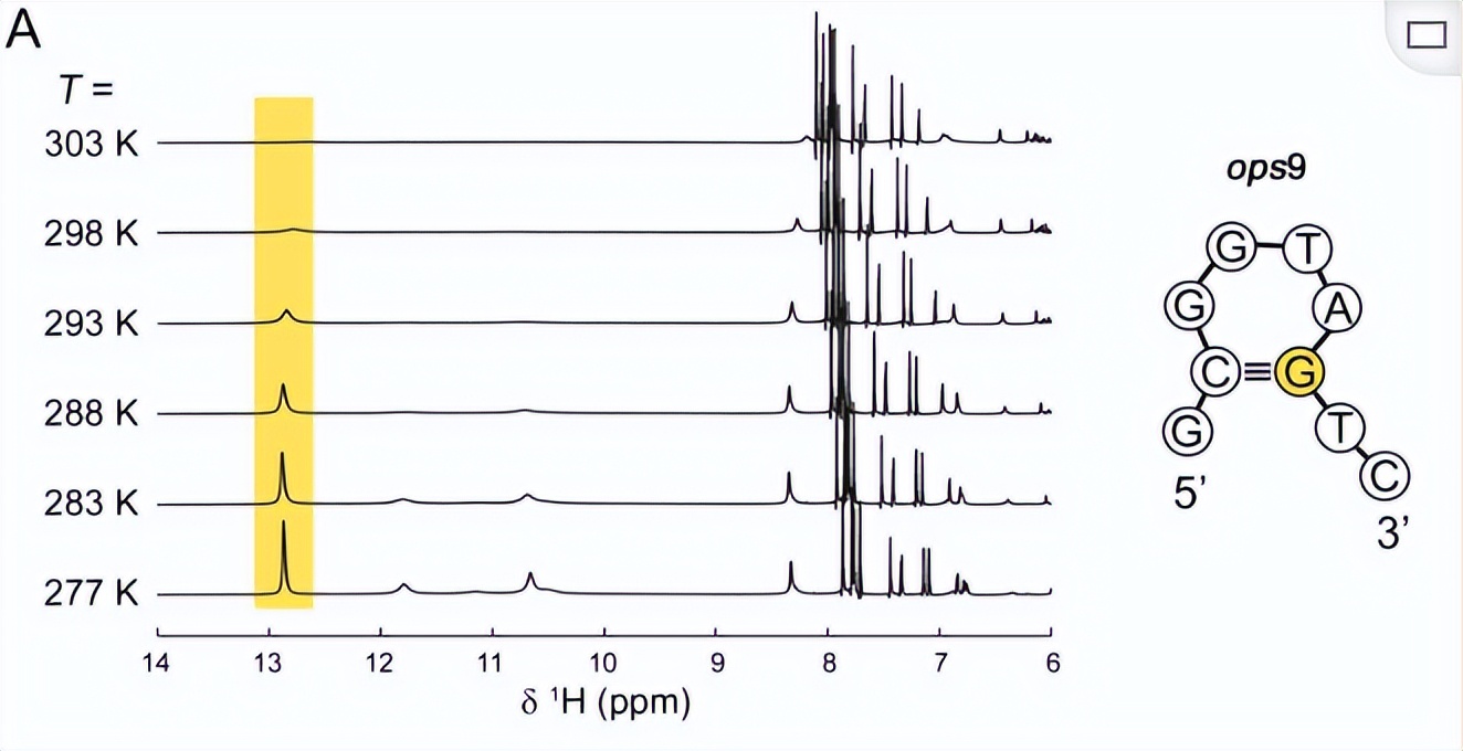 使用通过开环复分解（romp）途径衍生的抗菌聚合物检测细菌