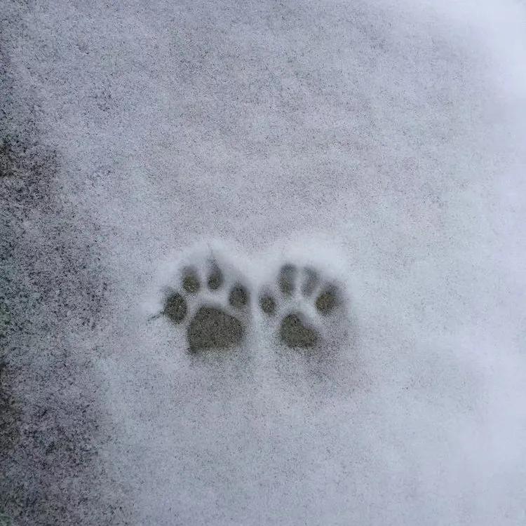 微信背景图和你在一起系列,微信背景图秋冬落叶