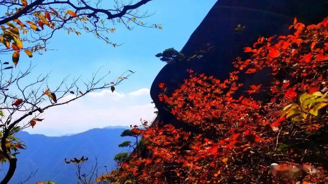 带你去看不一样的黄山之美,2020黄山旅游攻略带你玩转黄山