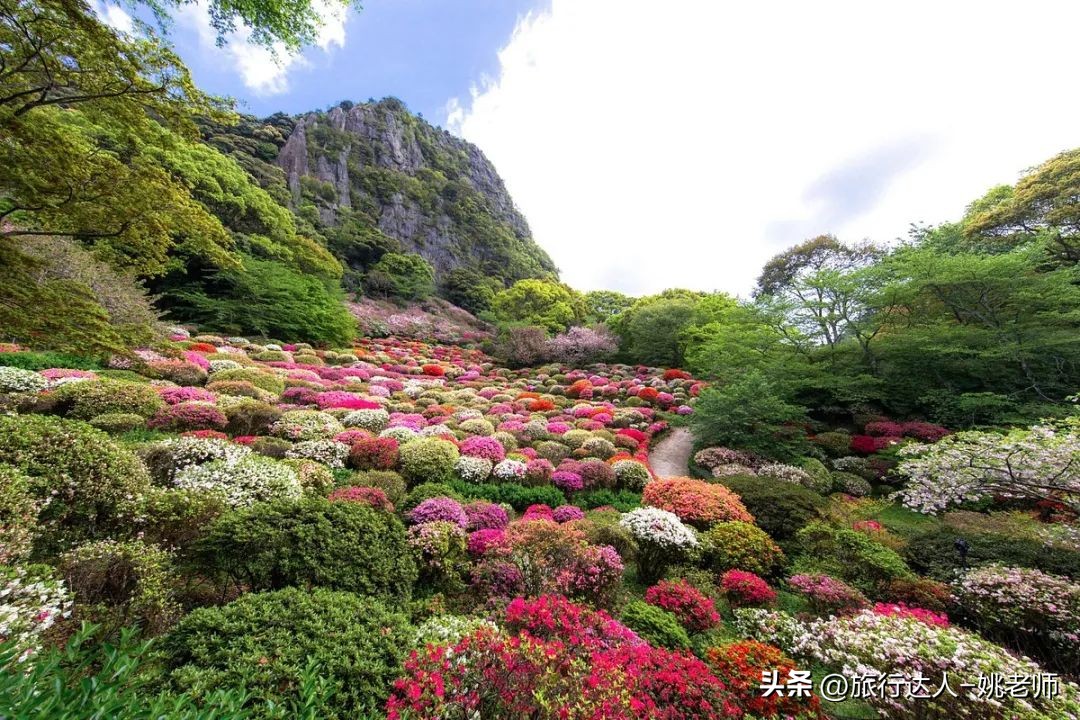 日本冰雪温泉之旅,迎着飞雪泡温泉日本冬季小众游