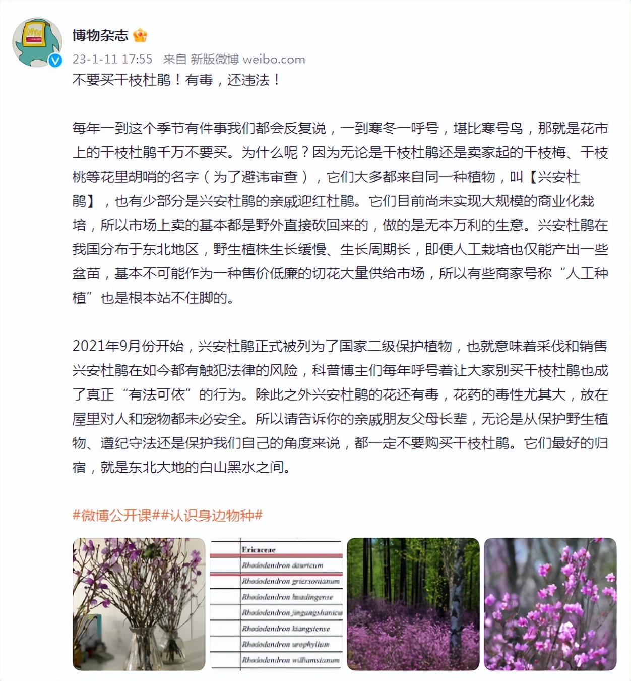 春节不应该买的食物,春节期间这些东西不要买