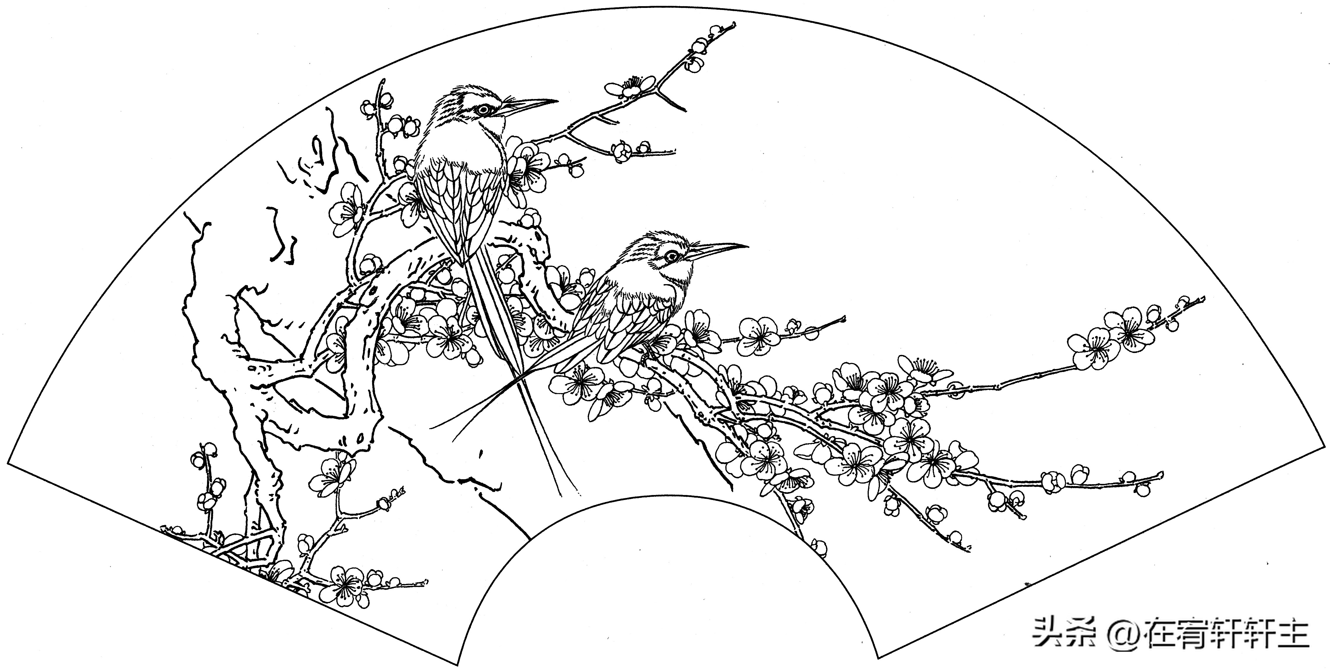 工笔白描祥云图案扇面,工笔扇面葡萄白描图片