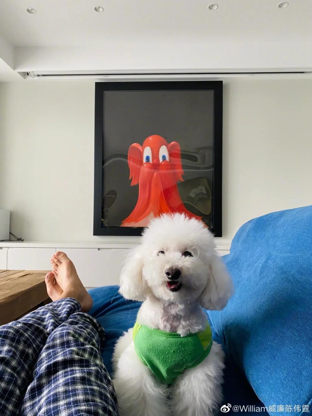 陈伟霆豪宅视频完整版,陈伟霆豪宅