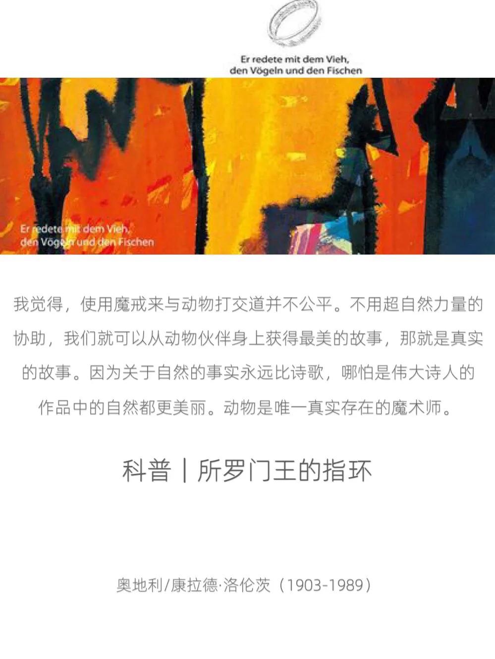 所罗门王的指环在线读,所罗门王的指环读书交流