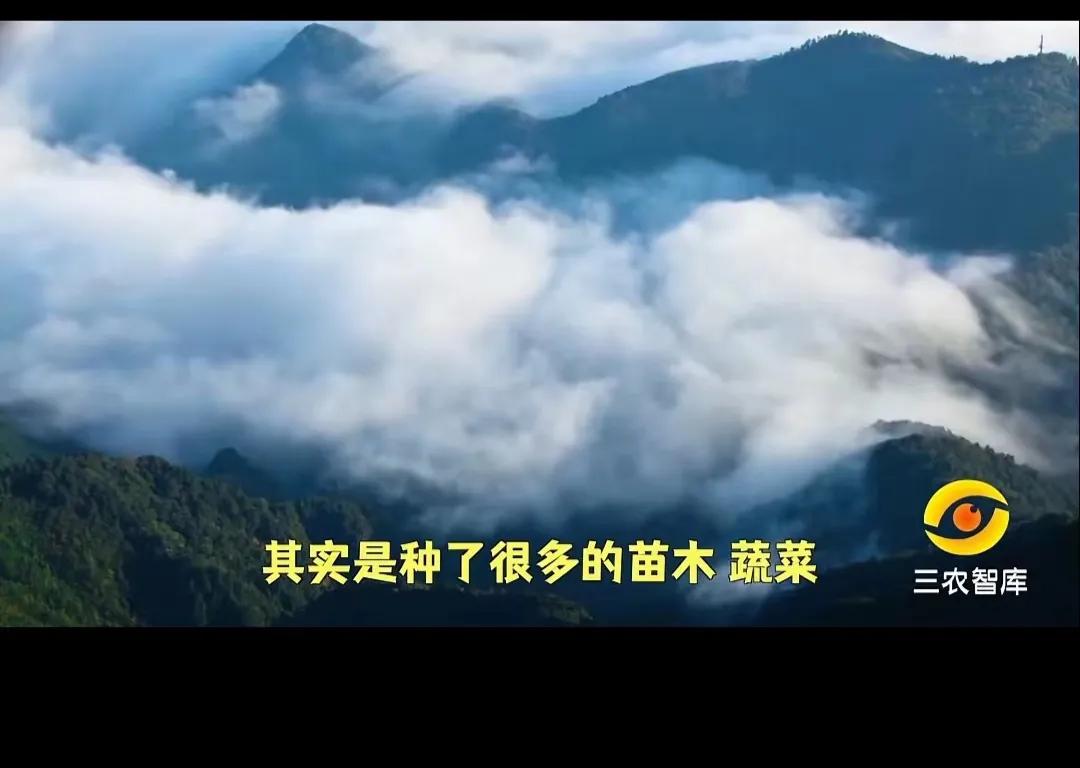 套取国家补贴是真的吗,套取国家补贴费怎么处理