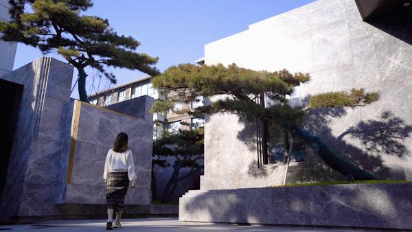 北龙湖第一梯队排名,北龙湖都是什么人