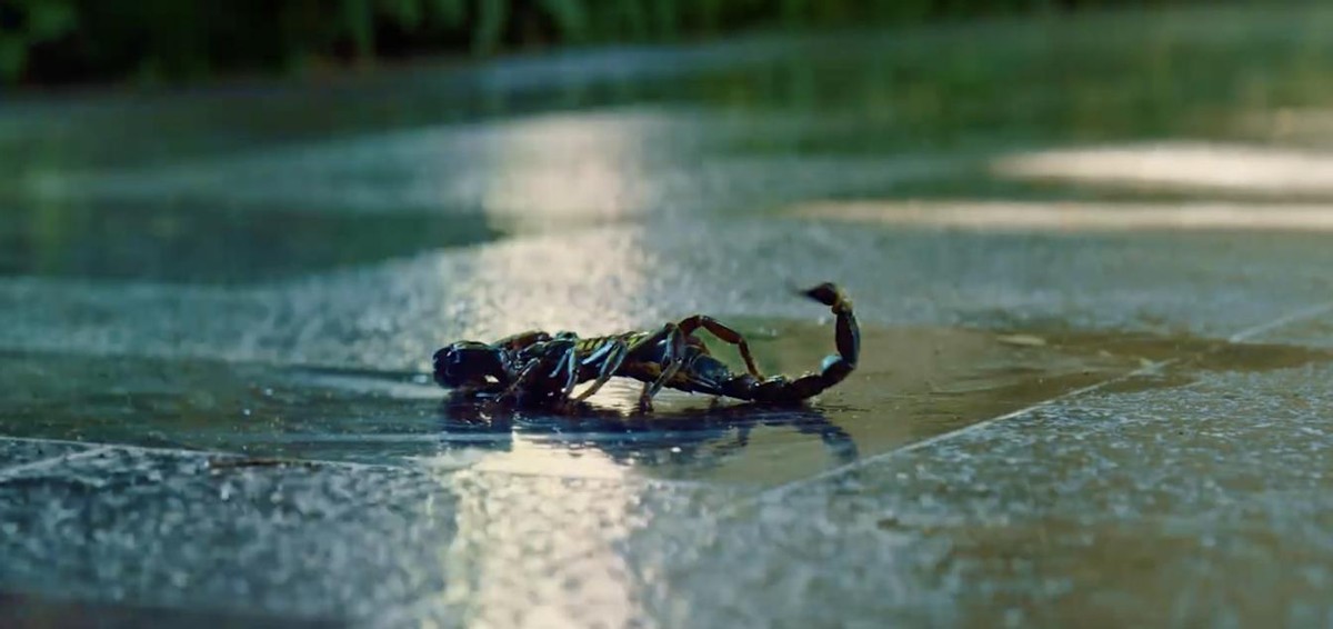 消失的她票房破20亿解说,消失的她票房35亿代表什么