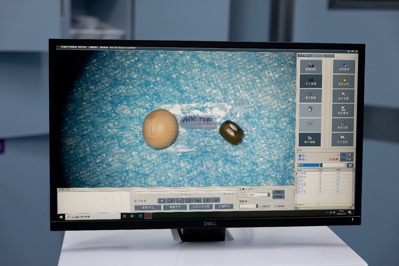 涓婃捣缇庤幈浠嬬粛瑙嗛,涓婃捣缇庤幈鍖荤枟缇庡浠嬬粛