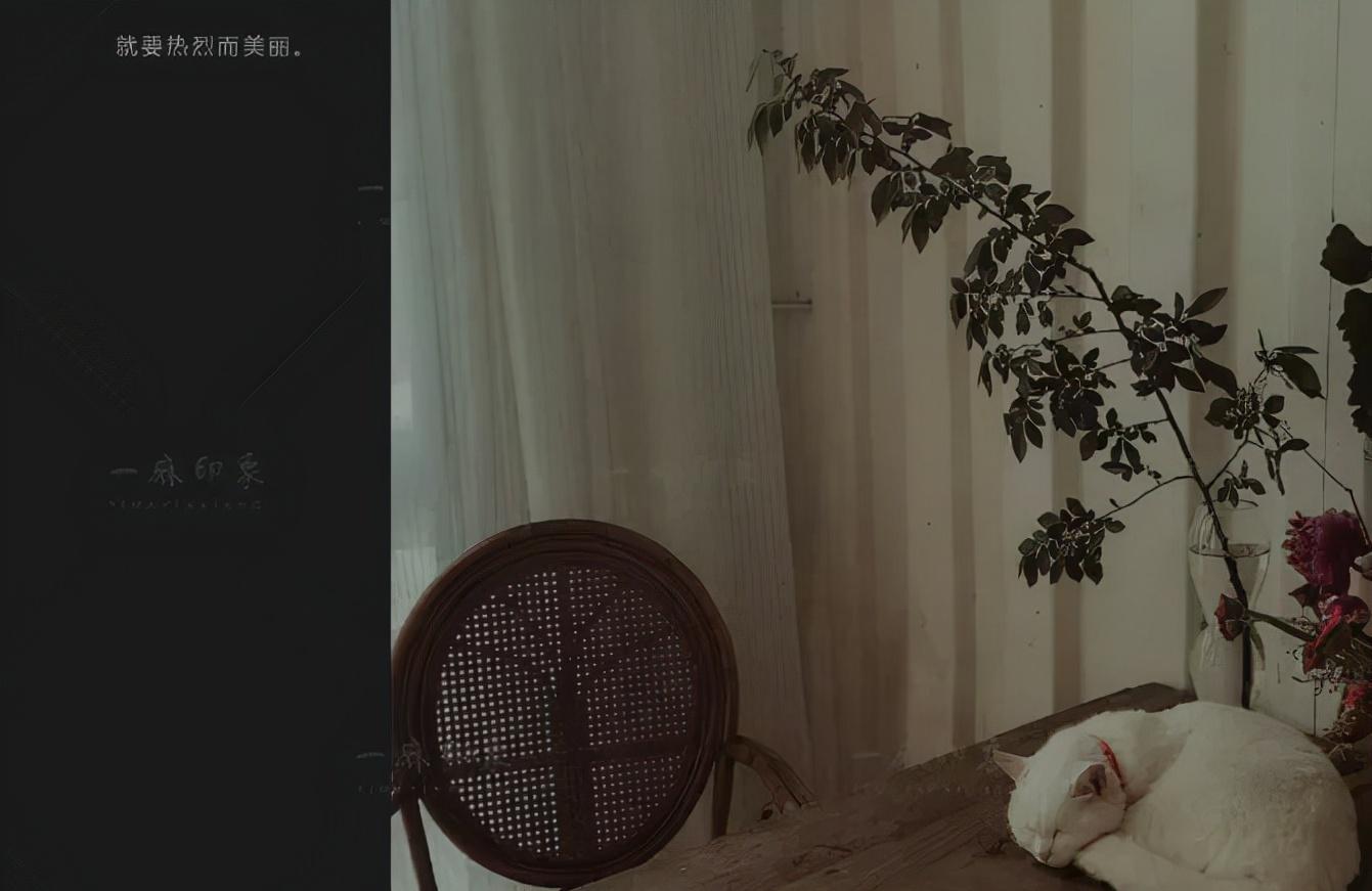 莫兰迪色高级灰人像教程,高级色调莫兰迪色搭配