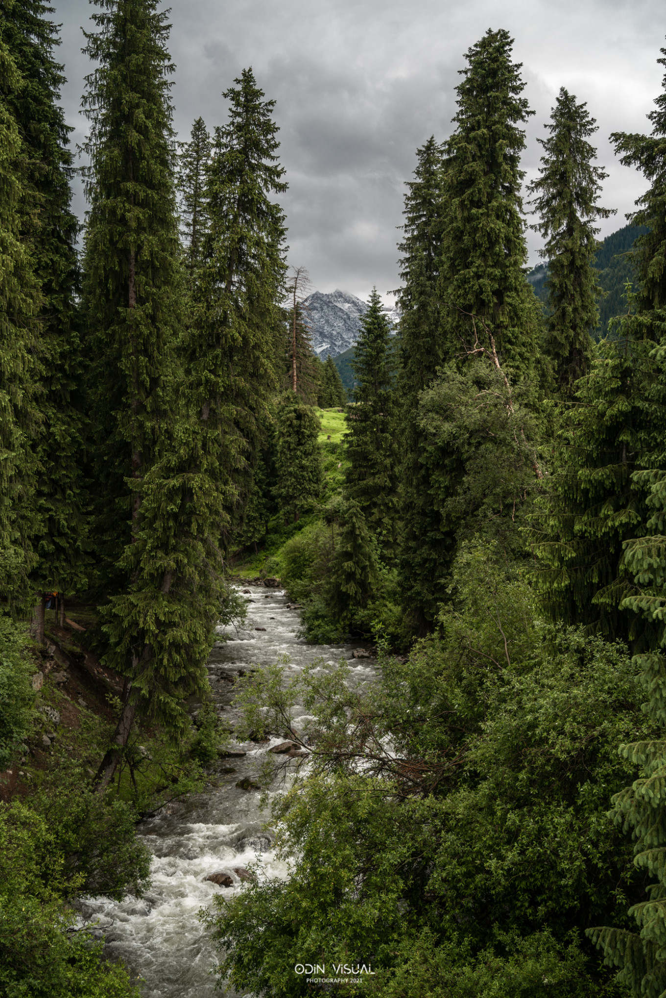 新疆伊犁之美,走了一圈才发现世界万物远不及你