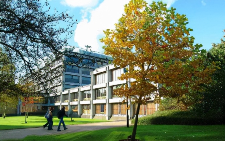 工作后出国留学需要什么条件,工作后怎么出国留学